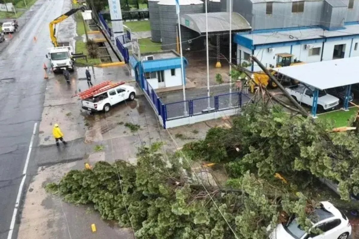 Solidaridad Cooperativa en Acción: En FACE sumamos y no dividimos